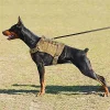 Se359d73acb7d47f78daf039aea15074dU.webp